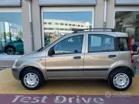 Usata Fiat Panda Dynamic 60 CV (44 kW) 2007 Marrone Utilitaria