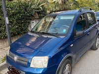 Usata Fiat Panda 77 CV (56 kW) 2009 Blu Utilitaria
