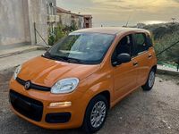 Usata Fiat Panda Easy 69 CV (50 kW) 2019 Utilitaria