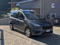 Usata Ford Tourneo 101 CV (74 kW) 2020 Grigio Furgone