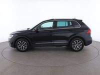 usata VW Tiguan 1.6 TDI Business 1.6 TDI Business