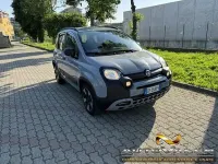 Usata Fiat Panda Cross Cross 69 CV (50 kW) 2020 Grigio Utilitaria