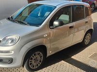 Usata Fiat Panda Easy 69 CV (50 kW) 2018 Grigio Utilitaria