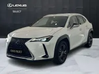 Usata Lexus UX 250h Luxury Line 184 CV (135 kW) 2023 Bianco SUV