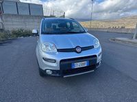Usata Fiat Panda 4x4 S 74 CV (54 kW) 2013 Grigio Utilitaria