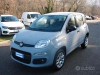 Usata Fiat Panda Easy 86 CV (63 kW) 2019 Grigio Utilitaria