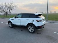 Usata Land Rover Range Rover evoque 150 CV (110 kW) 2013 Bianco SUV