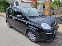 usata Fiat Panda Panda 1.0 FireFly S&S Hybrid City Life