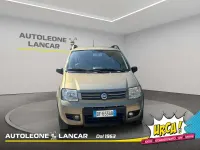 Usata Fiat Panda 4x4 Climbing 60 CV (44 kW) 2007 Bronzo Utilitaria