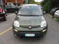Usata Fiat Panda Trekking 80 CV (58 kW) 2013 Verde Utilitaria
