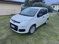 Usata Fiat Panda Easy 69 CV (50 kW) 2017 Utilitaria