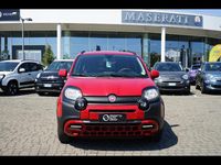 Usata Fiat Panda Cross Cross 69 CV (50 kW) 2024 Rosso Utilitaria