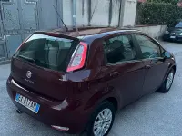 Usata Fiat Punto Evo Lounge 69 CV (50 kW) 2013 Marrone Utilitaria