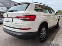 Usata Skoda Kodiaq Executive 150 CV (110 kW) 2019 Bianco SUV