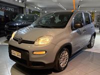 Usata Fiat Panda City Life 69 CV (50 kW) 2022 Grigio Utilitaria