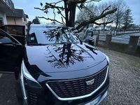 Usata Cadillac XT4 174 CV (127 kW) 2023 SUV