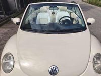 Usata VW New Beetle 101 CV (74 kW) 2004 Utilitaria