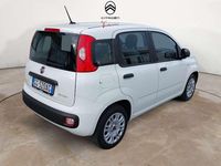 Usata Fiat Panda 69 CV (50 kW) 2021 Bianco Utilitaria