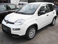 Nuova Fiat Panda S 69 CV (50 kW) 2025 Bianco Utilitaria