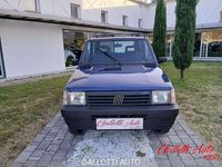 Usata Fiat Panda 4x4 Trekking 50 CV (36 kW) 1993 Blu Utilitaria