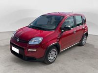 Usata Fiat Panda S 70 CV (51 kW) 2025 Utilitaria