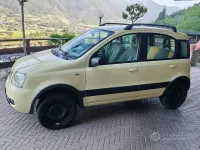 Usata Fiat Panda 4x4 60 CV (44 kW) 2005 Utilitaria