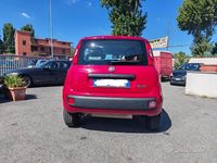 Usata Fiat Panda Pop 80 CV (58 kW) 2014 Rosso Berlina