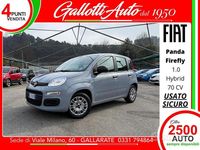 Usata Fiat Panda S 70 CV (51 kW) 2022 Grigio Utilitaria