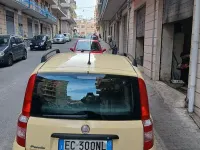 Usata Fiat Panda 60 CV (44 kW) 2010 Giallo Utilitaria