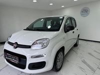 Usata Fiat Panda S 70 CV (51 kW) 2022 Bianco Utilitaria