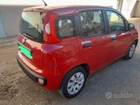 usata Fiat Panda 1.2 Pop