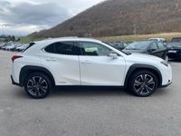 usata Lexus UX 250h Hybrid Premium Bianco Perla