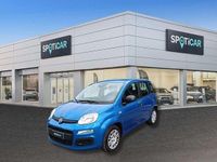 Usata Fiat Panda S 69 CV (50 kW) 2025 Blu metallizzato Berlina