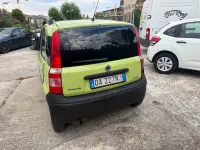Usata Fiat Panda 69 CV (50 kW) 2006 Utilitaria