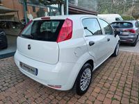 usata Fiat Punto 1.3 MJT II S&S 95 CV 5 porte Street (N1