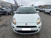 Usata Fiat Punto Lounge 77 CV (56 kW) 2016 Bianco Utilitaria