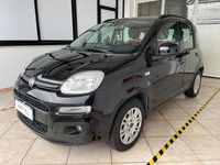 Usata Fiat Panda Lounge 69 CV (50 kW) 2020 Nero Berlina