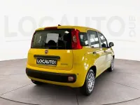 Nuova Fiat Panda Icon 69 CV (50 kW) 2025 Giallo Utilitaria