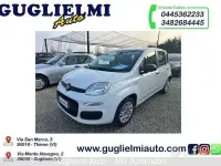 Usata Fiat Panda Lounge 69 CV (50 kW) 2020 Bianco Utilitaria