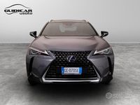 Usata Lexus UX 2021 Grigio SUV