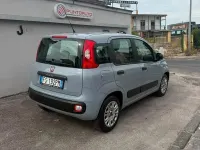 Usata Fiat Panda Easy 95 CV (69 kW) 2018 Grigio Utilitaria