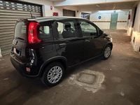 Usata Fiat Panda 69 CV (50 kW) 2024 Nero Utilitaria
