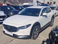Usata Mazda CX-30 Evolve 150 CV (110 kW) 2023 Bianco SUV