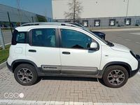 Usata Fiat Panda Cross Cross 95 CV (69 kW) 2014 Bianco Utilitaria