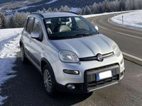 Usata Fiat Panda 4x4 75 CV (55 kW) 2015 Grigio Utilitaria