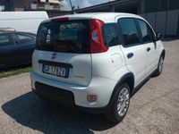 Usata Fiat Panda S 70 CV (51 kW) 2023 Bianco Utilitaria