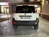 Usata Fiat Panda 4x4 80 CV (58 kW) 2015 Bianco Utilitaria
