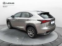 Usata Lexus NX300h Executive Line 197 CV (144 kW) 2020 Grigio SUV