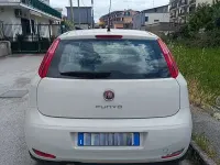 Usata Fiat Punto Lounge 77 CV (56 kW) 2016 Bianco Utilitaria
