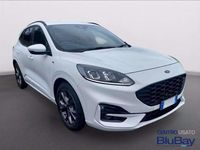Usata Ford Kuga ST-Line 120 CV (88 kW) 2022 Frozen white SUV
